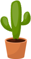 cactus clipart ontwerp illustratie