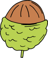 dibujado a mano frutas clipart diseño ilustración png
