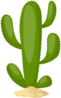 Ilustración de diseño de imágenes prediseñadas de cactus png