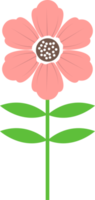 Beautiful flowers clipart design illustration png