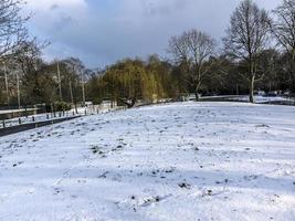 Trees and Vegetation in Winter on Snow in a Parc photo