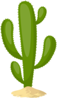 Cactus clipart design illustration png