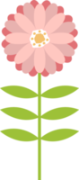 Beautiful flowers clipart design illustration png