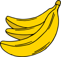 dibujado a mano frutas clipart diseño ilustración png