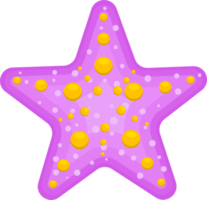 ilustración de diseño de imágenes prediseñadas de estrellas de mar png