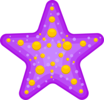 ilustración de diseño de imágenes prediseñadas de estrellas de mar png