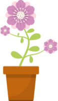 fiore in vaso clipart design illustrazione png