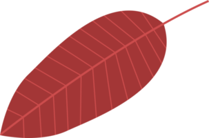 tropische bladeren clipart ontwerp illustratie png