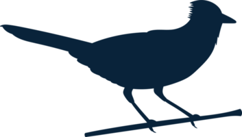 oiseaux clipart conception illustration png