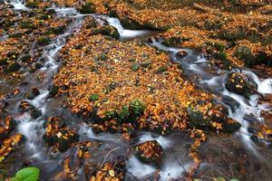 Waterfall in Yedigoller National Park, Bolu, Turkey photo