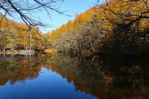 Derin Lake in Yedigoller National Park, Bolu, Turkey photo