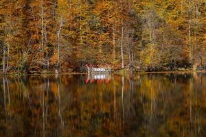 lago buyuk en el parque nacional yedigoller, bolu, turquía foto