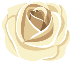 rose éléments clipart conception illustration png