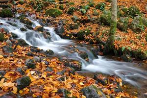 Waterfall in Yedigoller National Park, Bolu, Turkey photo