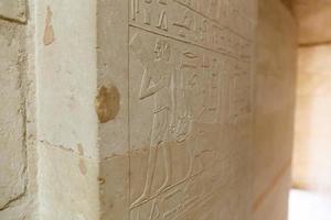 escenas en la necrópolis de saqqara, el cairo, egipto foto