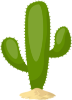 Ilustración de diseño de imágenes prediseñadas de cactus png