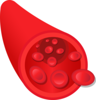 Blood vessel clipart design illustration
