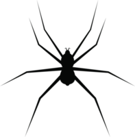 Ilustración de diseño de imágenes prediseñadas de araña png
