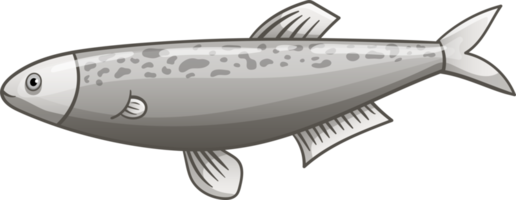 poisson dessin clipart conception illustration png