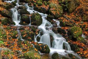 cascada en el parque nacional yedigoller, bolu, turquía foto