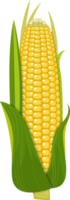 illustration de conception de clipart de maïs png