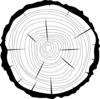 Querschnitt der hölzernen Baumclipart-Designillustration png