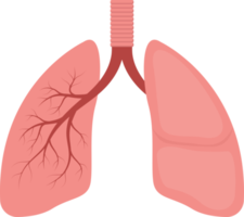 ilustração de design de clipart de pulmão
