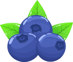 Blueberry clipart design illustration png