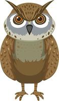 Front of owl in cartoon style vector