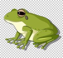 Green frog in flat cartoon style vector