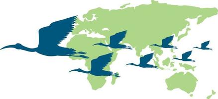 Silhouette stork birds flying and world map vector