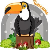 Toucan bird in cartoon style vector
