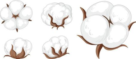 Set of cotton flowers isolated vector