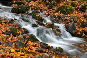 Waterfall in Yedigoller National Park, Bolu, Turkey photo