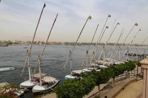 Felluca Boats in Nile River photo