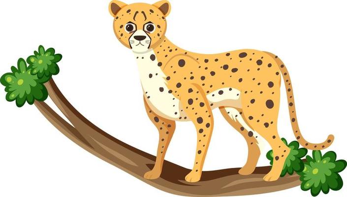 December cheetah day icon on white background