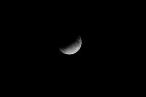 Lunar eclipse on the dark night photo