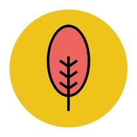 Trendy Cypress Tree vector