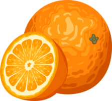 ilustración de diseño de imágenes prediseñadas de fruta naranja deliciosa png