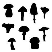 A set of autumn and summer mushrooms. Vector isolated on a white background.