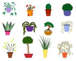Potted plant set of vector illustrations. Cartoon flat various indoor decorative potted houseplants for home or office interior decoration. isolated on a white background