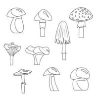 A set of mushroom coloring pages. Vector isolated on a white background.