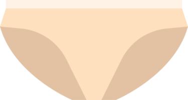 ilustração de design de clipart de roupas íntimas femininas png