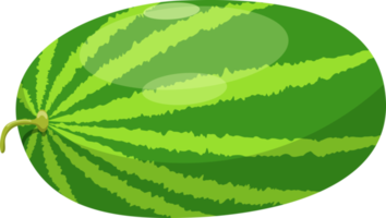 Watermelon clipart design illustration png