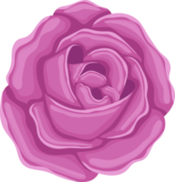 ilustração de design de clipart de flor rosa