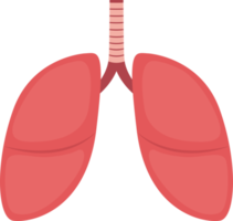 lung clipart design illustration png