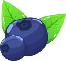 Blueberry clipart design illustration png