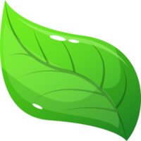 Realistic leaf clipart design illustration