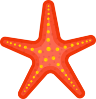 Sea starfish clipart design illustration png