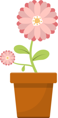 Flower Pot PNG Free Images with Transparent Background - (1,163 Free ...